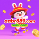 aabr889.com favicon